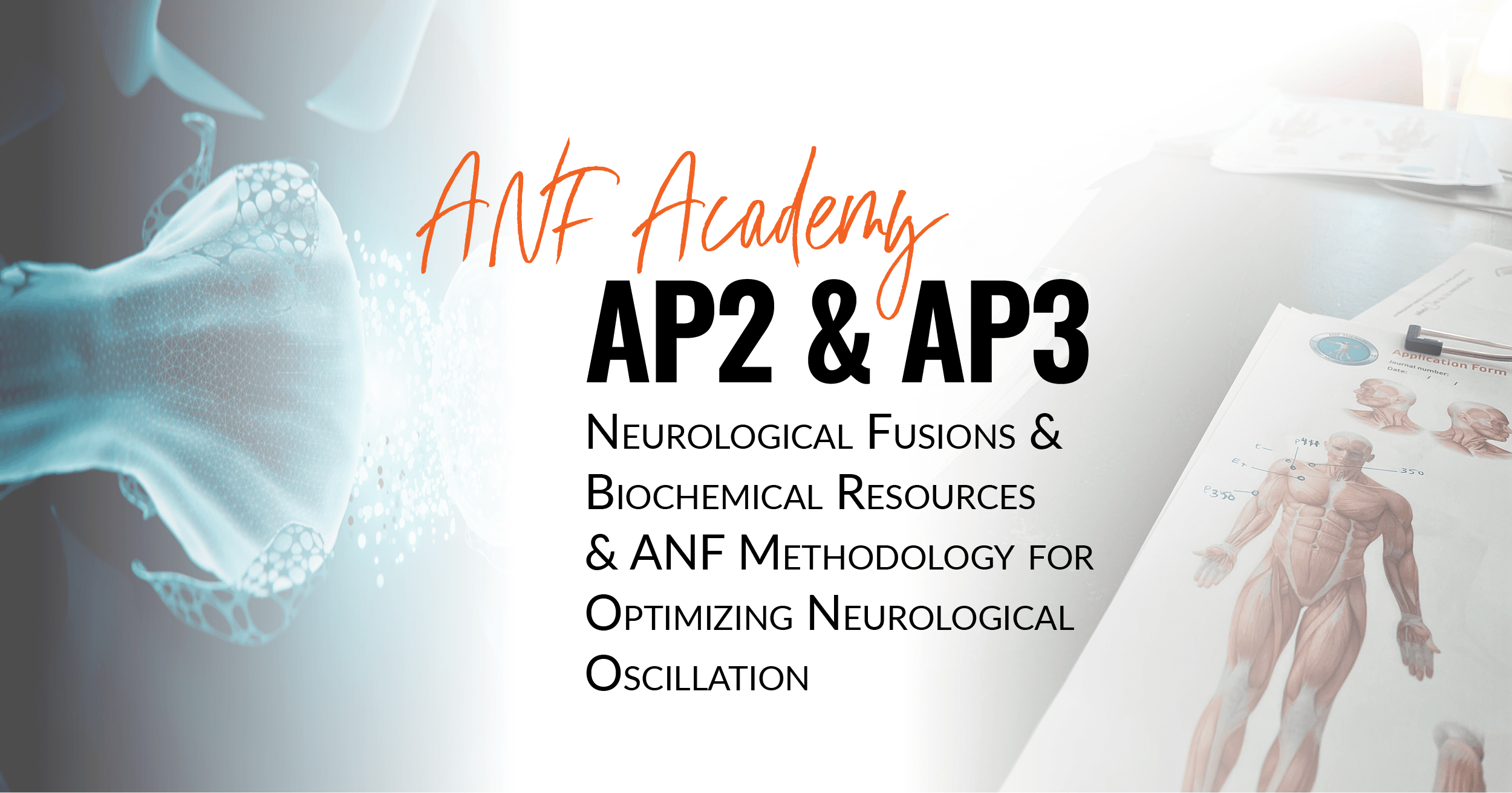 AP2 – AP3 - ANF Academy