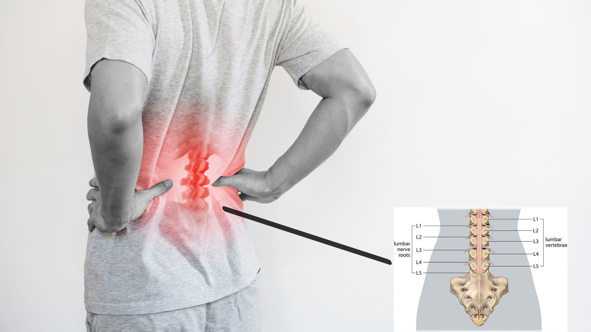 lower back lumbar anatomy